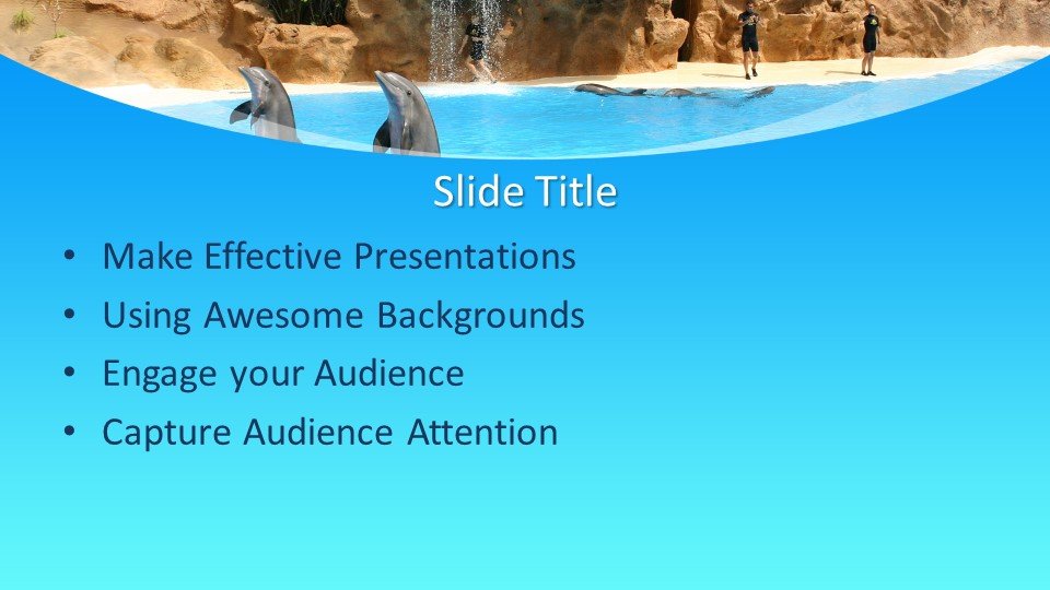 Powerpoint presentacion Delfines