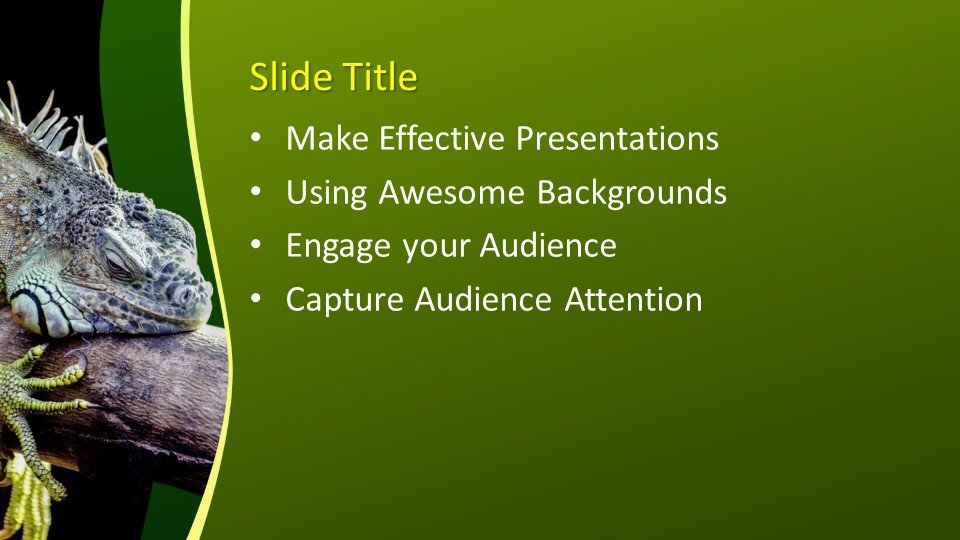 Powerpoint presentacion Iguana